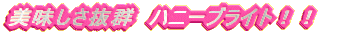 �����������Q�@�n�j�[�u���C�g�I�I