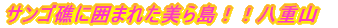 �T���S�ʂɈ͂܂ꂽ���瓇�I�I���d�R 