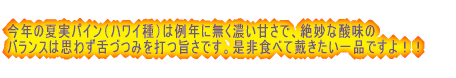  ���N�̉Ď��p�C���i�n���C��j�͗�N�ɖ����Z���Â��ŁA�▭�Ȏ_���� �o�����X�͎v�킸��Âݑł|���ł��B����H�ׂđՂ�������i�ł���I�I  